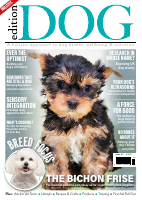 @Magazinesy Edition Dog - Issue 40, Jan 2022.pdf